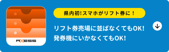 Axess SkiWalletナビ